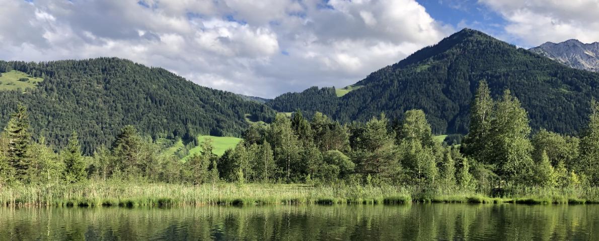 Landschaft See