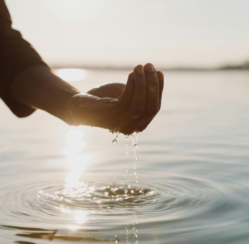 Wasser