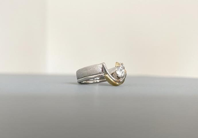die beiden original Ringschienen beide Ringschienen